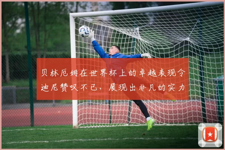 贝林厄姆在世界杯上的卓越表现令迪尼赞叹不已，展现出非凡的实力与魅力