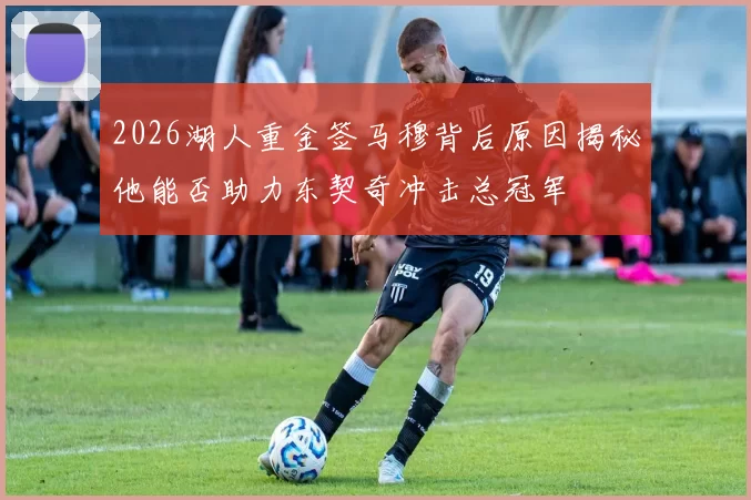 2026湖人重金签马穆背后原因揭秘他能否助力东契奇冲击总冠军